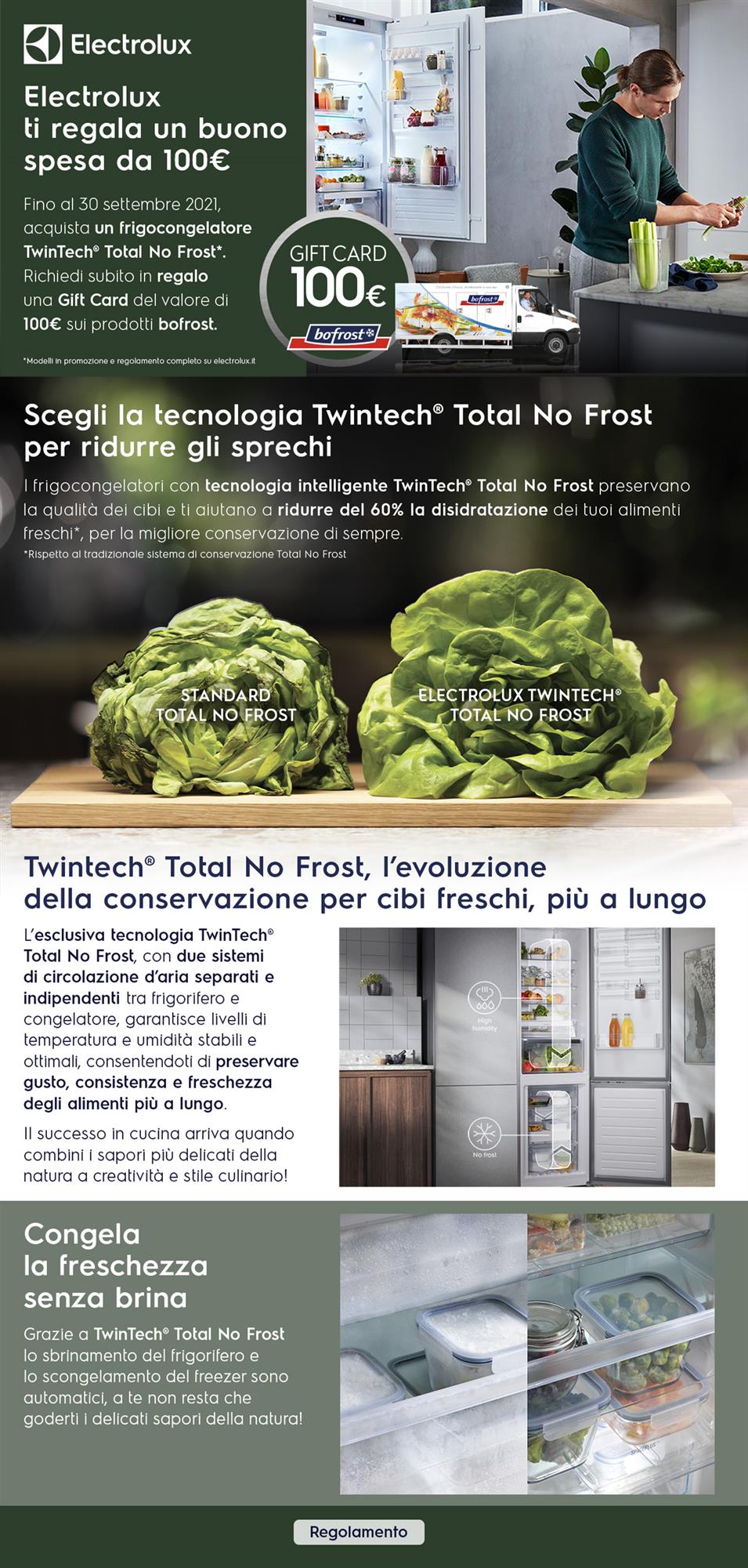 LP_electrolux frigoriferi buono bofrost